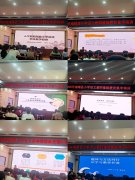 金山核心小学吴育燕带来《素养导向下小学语文